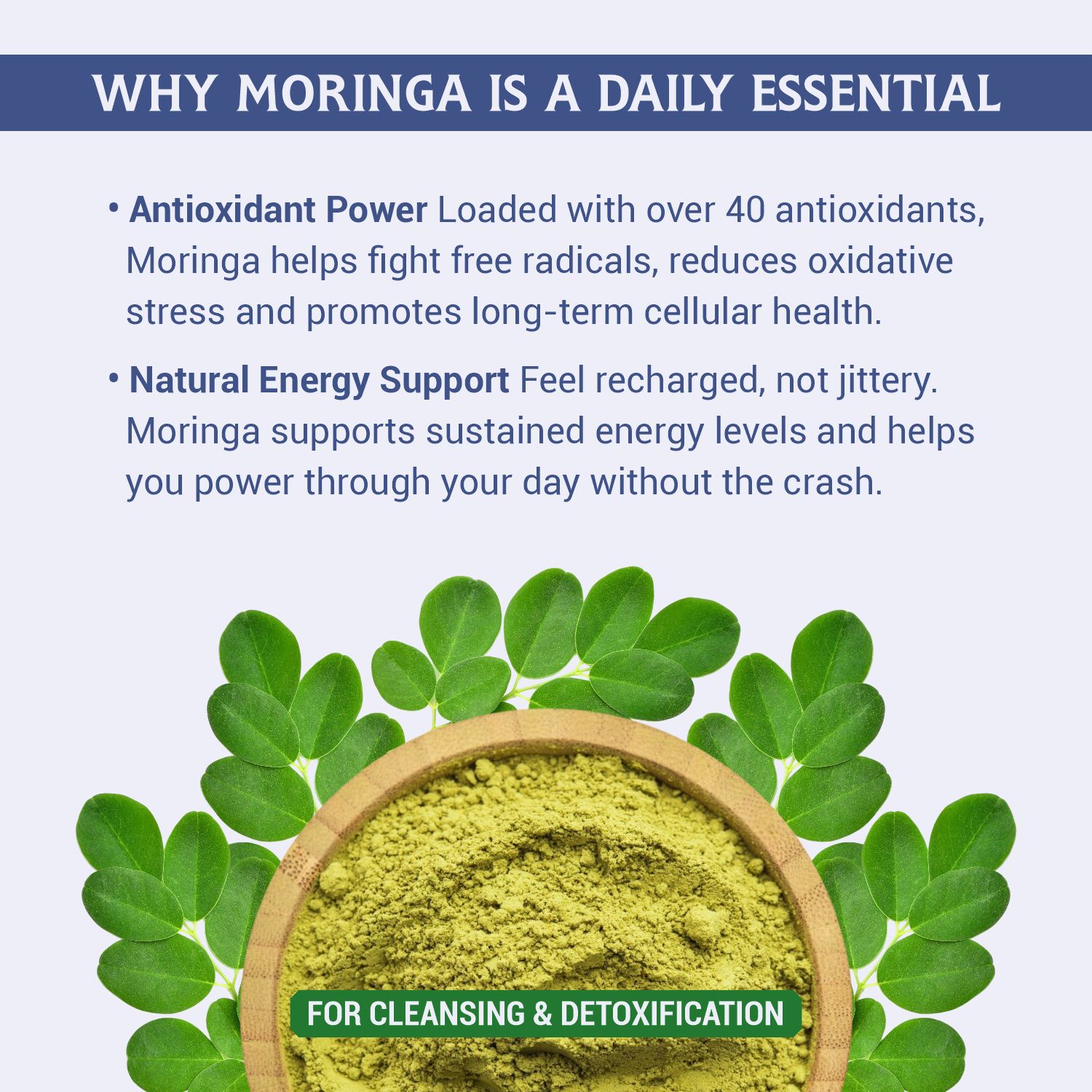 Moringa Powder | 100% Natural & Nutrient Rich | SRP Nutritional - Image 5