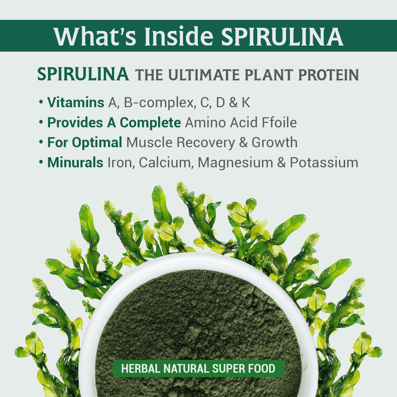 Spirulina Powder | 100% Pure Green Superfood | SRP Nutritional - Image 5