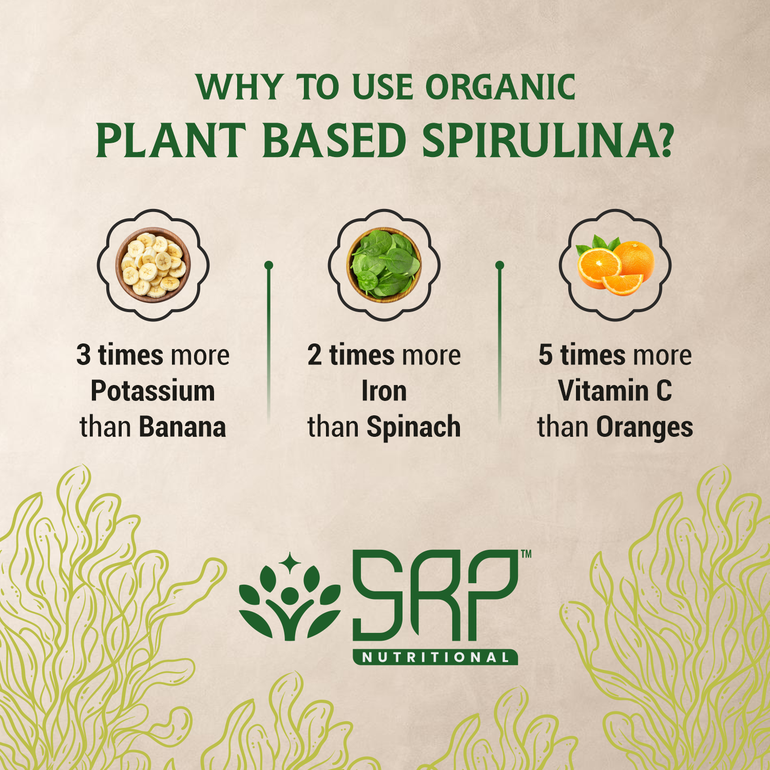 Spirulina Tablets | 100% Pure & Lab Tested | SRP Nutritional - Image 5